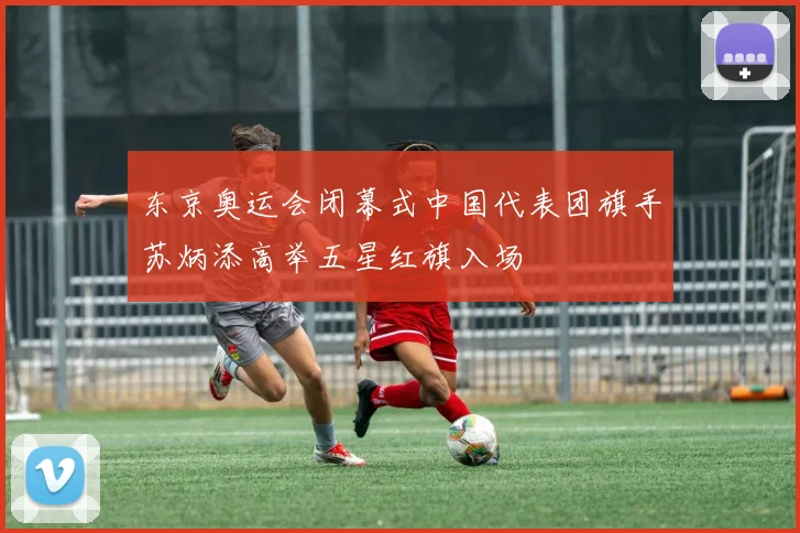 东京奥运会闭幕式中国代表团旗手苏炳添高举五星红旗入场