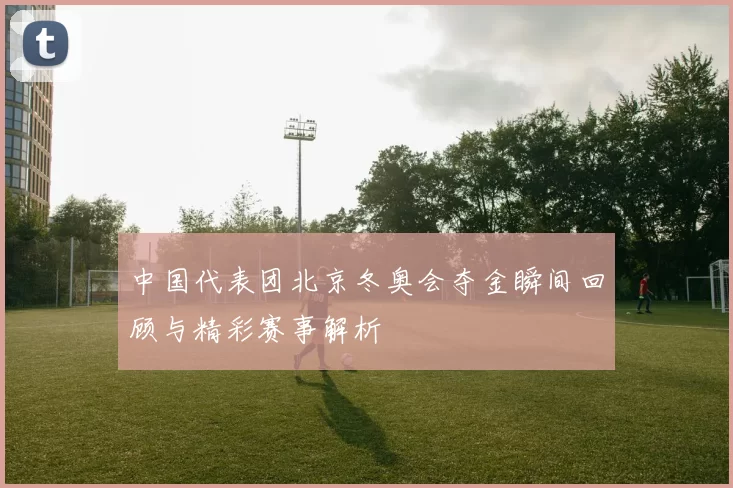 中国代表团北京冬奥会夺金瞬间回顾与精彩赛事解析