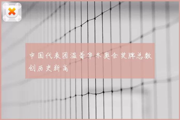 中国代表团温哥华冬奥会奖牌总数创历史新高